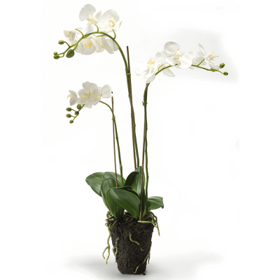 Фаленопсис / Phalaenopsis растение искусственное