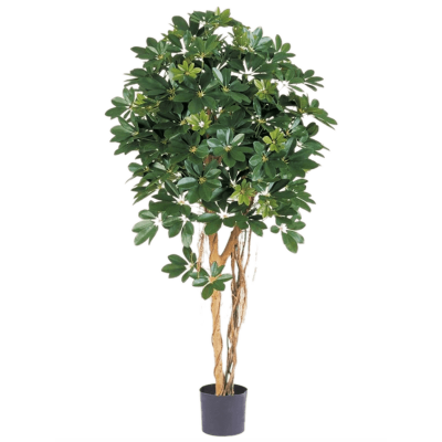 Шеффлера Арборикола / Schefflera arboricola растение искусственное