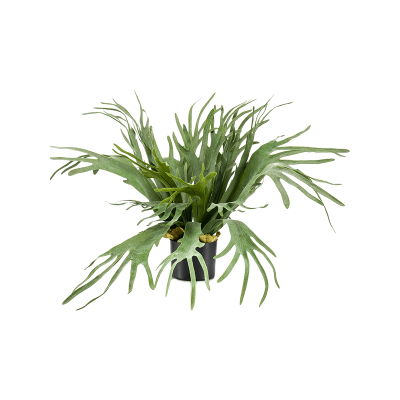 Папоротник / Fern Staghorn растение искусственное