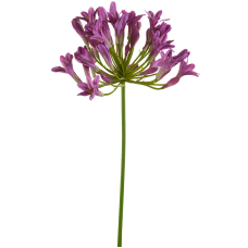 Агапантус / Agapanthus растение искусственное