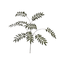 Бузина / Elderberry растение искусственное