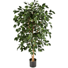 Фикус / Ficus nitida exotica растение искусственное