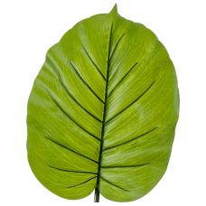 Алоказия лист / Alocasia растение искусственное