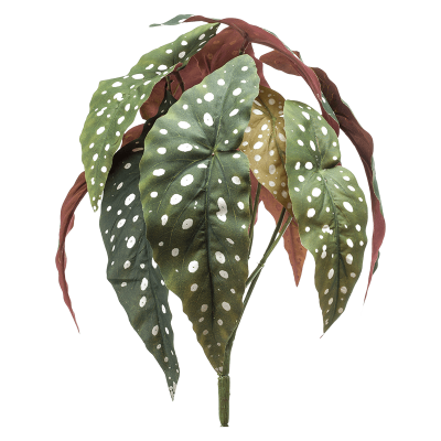Бегония / Begonia maculata растение искусственное