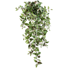 Wandering jew растение искусственное