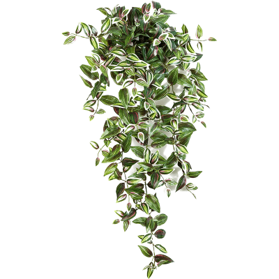 Wandering jew растение искусственное