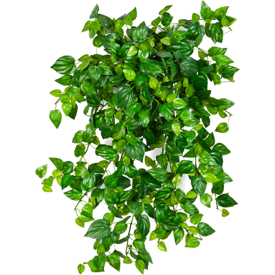 Филодендрон мини / Mini philodendron растение искусственное