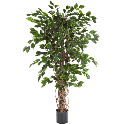 Фикус Лиана Экзотика / Ficus liana exotica растение искусственное