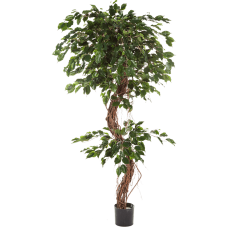 Фикус Экзотика / Ficus corkscrew exotica растение искусственное