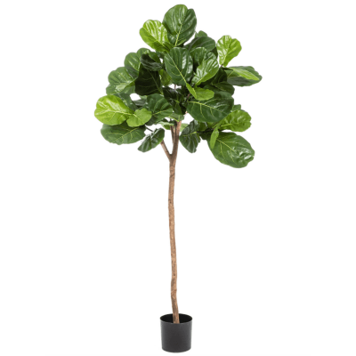 Фикус Лирата / Ficus lyrata растение искусственное