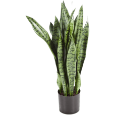 Сансевиерия в кашпо / Sansevieria растение искусственное