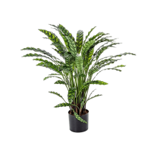 Калатея / Calathea растение искусственное