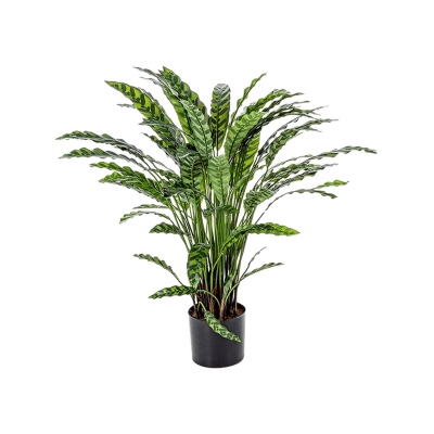 Калатея / Calathea растение искусственное