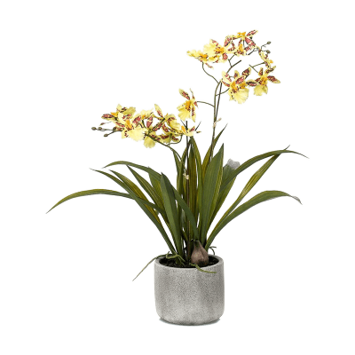 Онцидиум / Oncidium растение искусственное