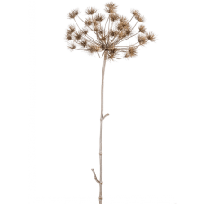 Борщевик / Heracleum растение искусственное