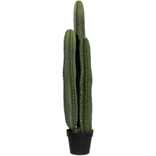 Кактусы / Cactus San Pedro растение искусственное