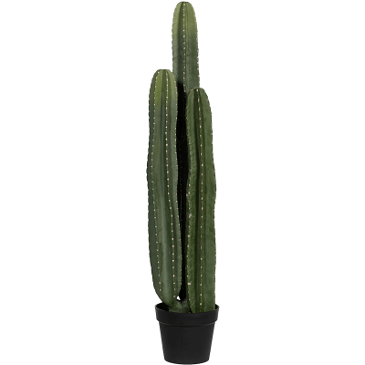 Кактусы / Cactus San Pedro растение искусственное