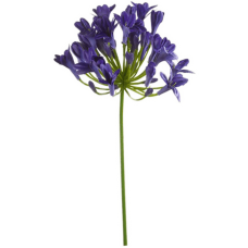 Агапантус / Agapanthus растение искусственное