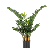 Замиокулькас / Zamioculcas zamiifolia растение искусственное