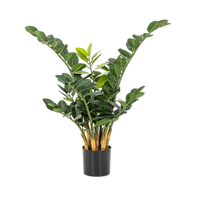 Замиокулькас / Zamioculcas zamiifolia растение искусственное