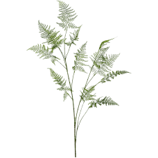 Аспарагус / Asparagus растение искусственное