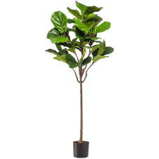 Фикус / Ficus lyrata растение искусственное