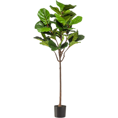 Фикус / Ficus lyrata растение искусственное