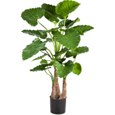 Алоказия Калидора / Alocasia calidora растение искусственное
