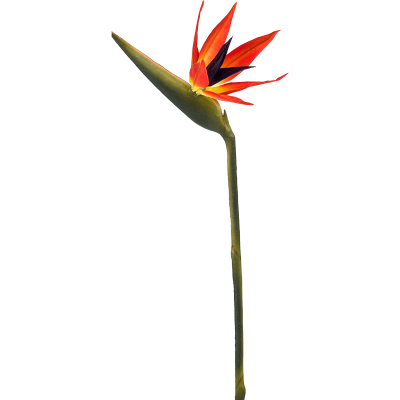 Стрелиция / Strelitzia растение искусственное