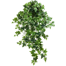 Ива / Var. ivy растение искусственное