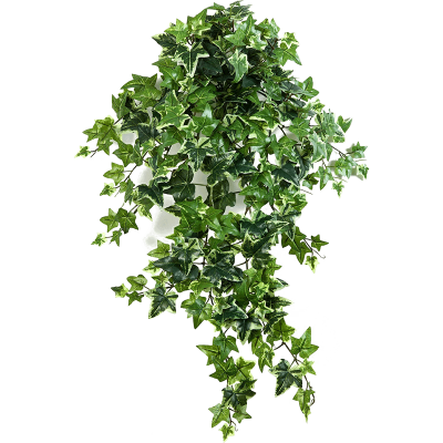 Ива / Var. ivy растение искусственное