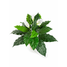 Спатифиллум / Spathiphyllum растение искусственное