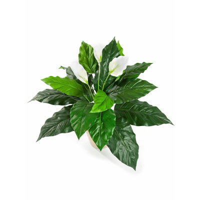 Спатифиллум / Spathiphyllum растение искусственное