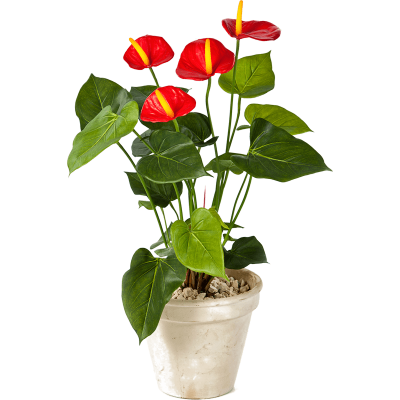 Антуриум Люкс / Anthurium de luxe растение искусственное