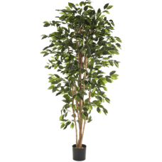 Фикус Нитида / Ficus nitida растение искусственное