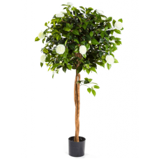 Камелия Амбрелла дерево / New camelia umbrella растение искусственное