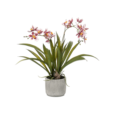 Онцидиум / Oncidium растение искусственное