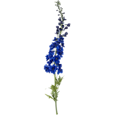 Живокость / Delphinium растение искусственное