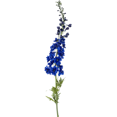 Живокость / Delphinium растение искусственное