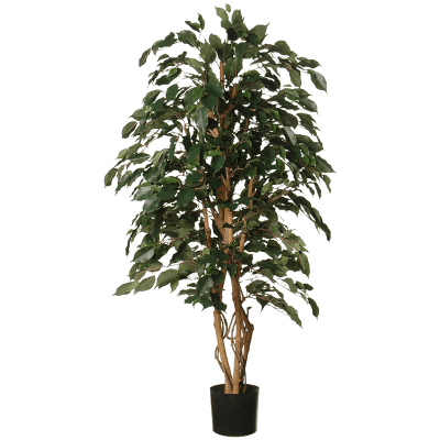 Фикус / Ficus Exotica растение искусственное