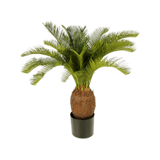 Цикас / Cycas растение искусственное