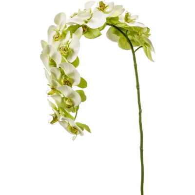 Фаленопсис / Phalaenopsis растение искусственное