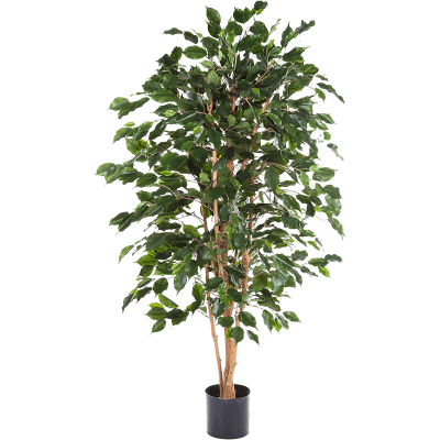 Фикус Экзотика / Ficus exotica растение искусственное