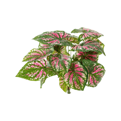 Каладиум / Caladium растение искусственное