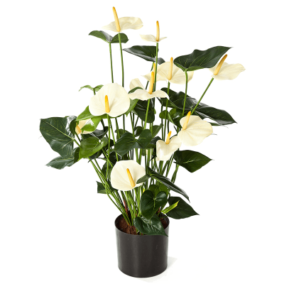 Антуриум Люкс / Anthurium de luxe растение искусственное