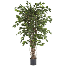 Фикус Лиана Экзотика / Ficus liana exotica растение искусственное