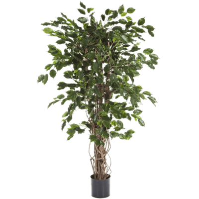 Фикус Лиана Экзотика / Ficus liana exotica растение искусственное