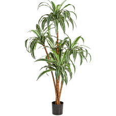 Драцена / Dracaena растение искусственное