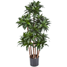 Драцена Фрагранс Компакта / Dracaena fragrans compacta растение искусственное