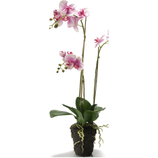 Фаленопсис / Phalaenopsis растение искусственное